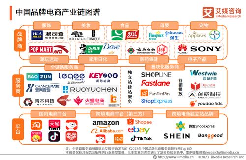 2023年中國(guó)品牌電商服務(wù)商行業(yè)研究報(bào)告 信息技術(shù)咨詢服務(wù)
