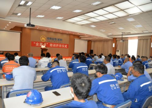 信息技術(shù)咨詢(xún)服務(wù)賦能就業(yè) 市人社局以精準(zhǔn)服務(wù)促更高質(zhì)量更充分就業(yè)